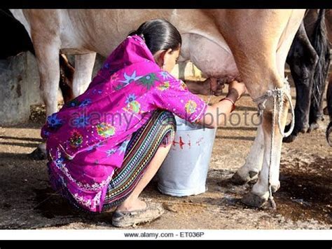 desi milk sex